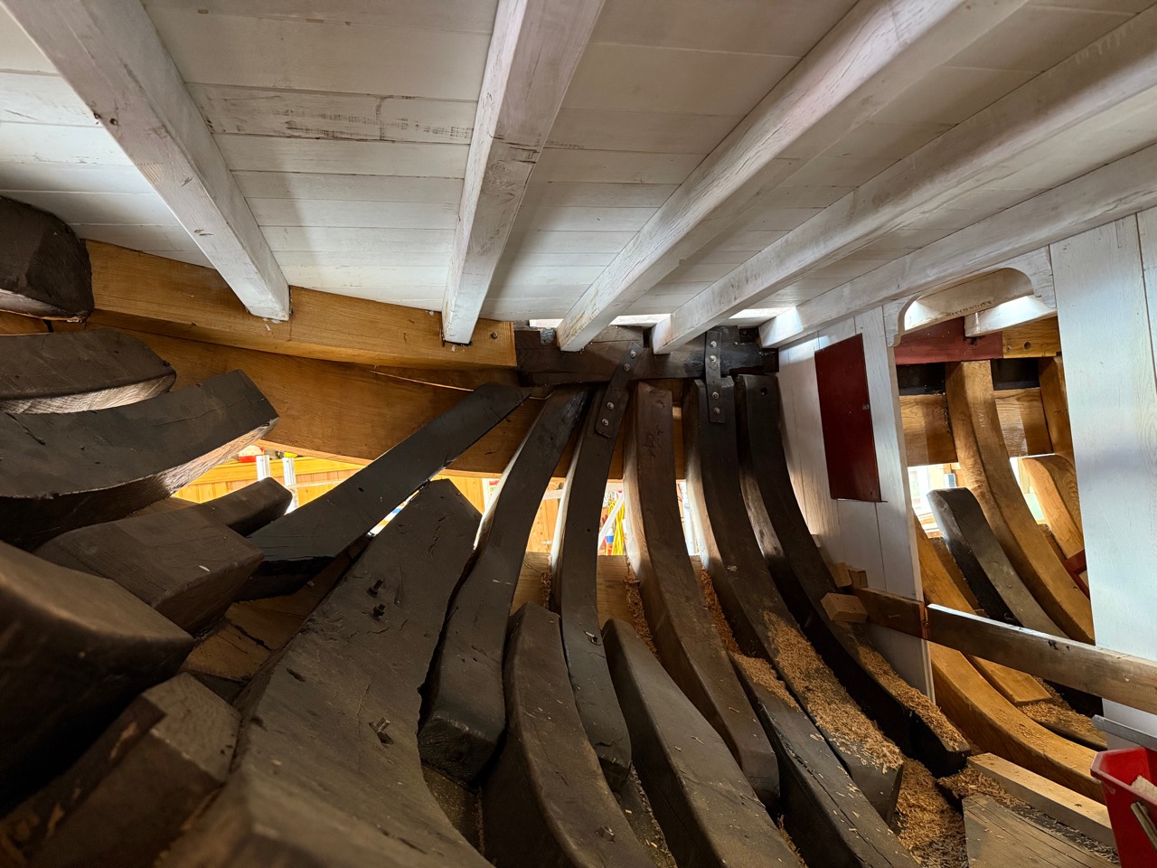 Binnenkant van een houten botter in restauratie met spanten en dekbalken