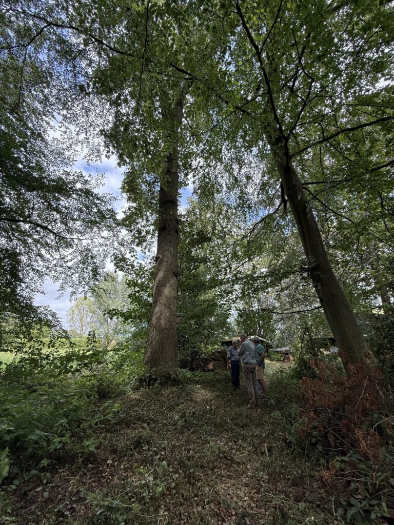 Betrokkenen bespreken ter plaatse het eikenhout voor de restauratie van de HK172
